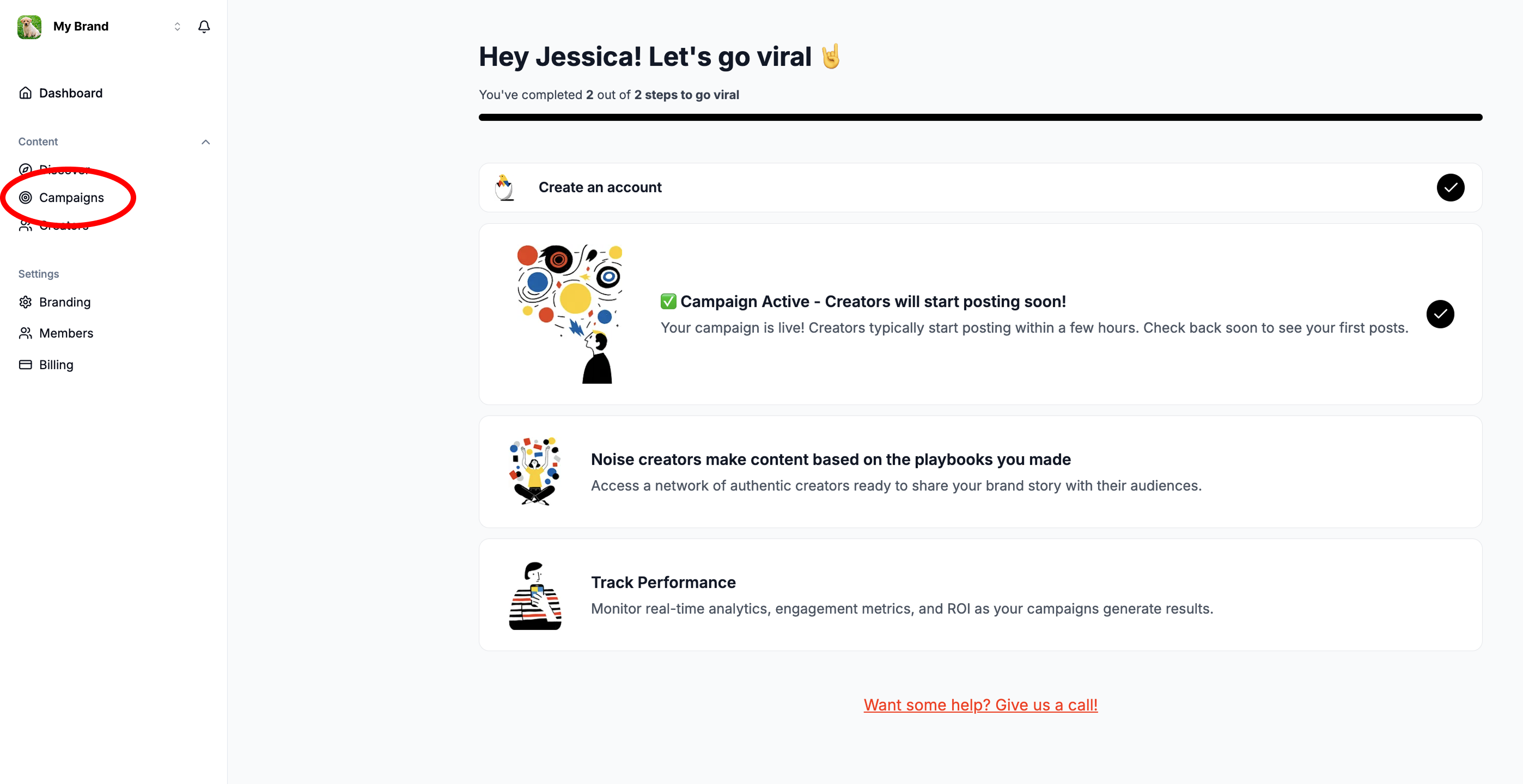 The Campaigns tab in the dashboard navigation