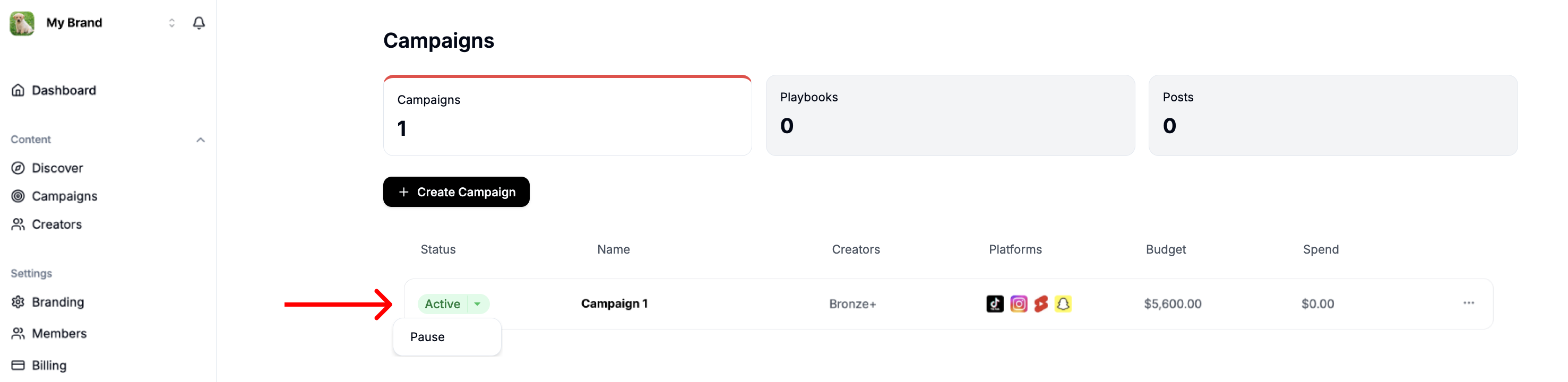 Switching a campaign live